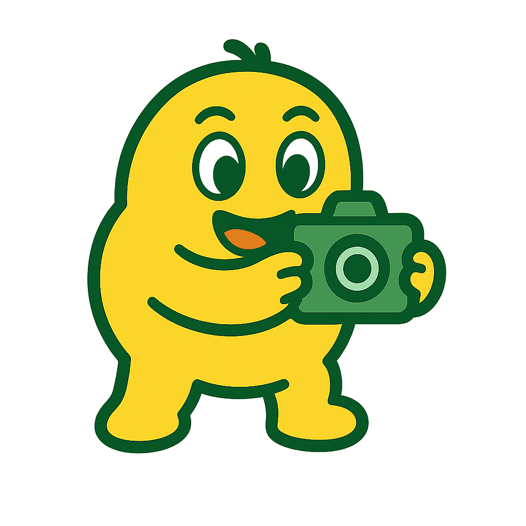 Illustration for using a photo